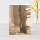 SAP BUCKETS GREETCARDS KARTE (Gelbe Blume)