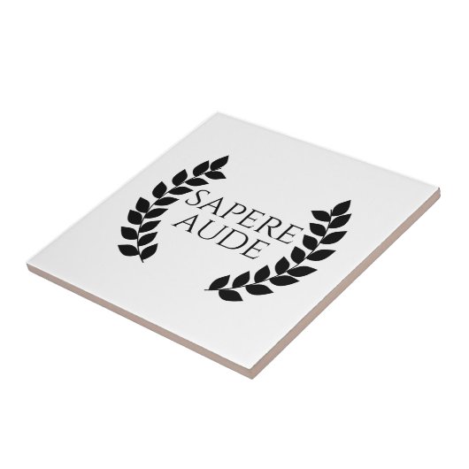 Sapere Aude Fliese (Seite)