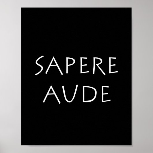 Sapere aude poster (Vorne)
