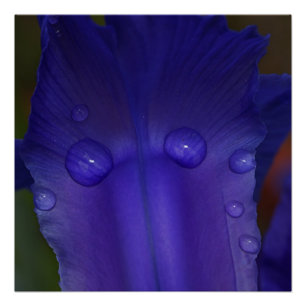 Saphir Serenity Natur-Foto-Wandkunst-Druck Poster