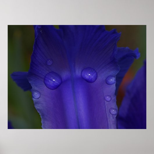 Saphir Serenity Poster (Vorne)