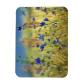 Saphire & Gold Flexible Magnet (Vertikal)