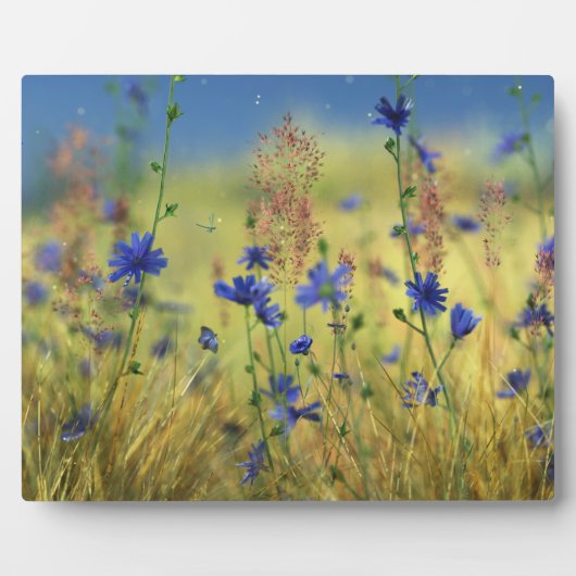 Saphire & Gold Plaque Fotoplatte (Vorderseite)