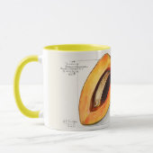 Sapote Tasse (Links)