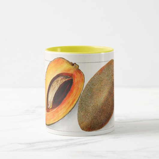 Sapote Tasse (Zentrum)