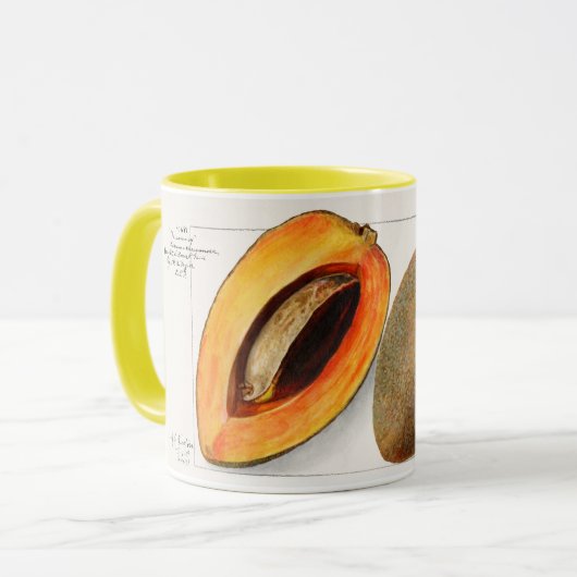 Sapote Tasse (Vorderseite Links)