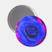 Sapphire Blue Rose Magnet (Vorderseite/Rückseite)