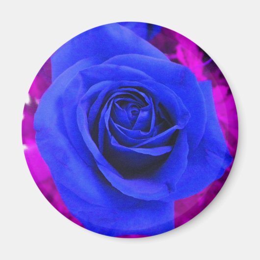 Sapphire Blue Rose Magnet (Vorne)