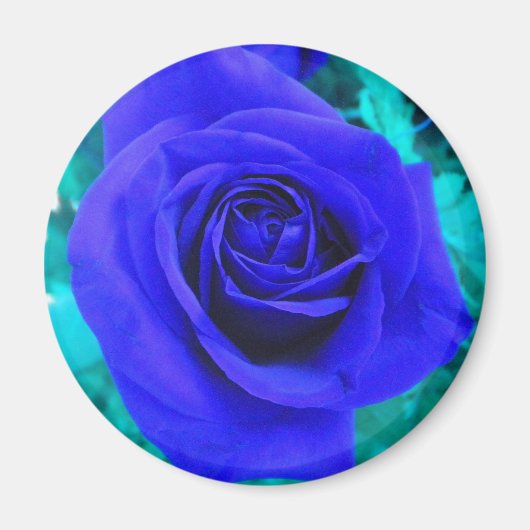 Sapphire Blue Rose Magnet (Vorne)