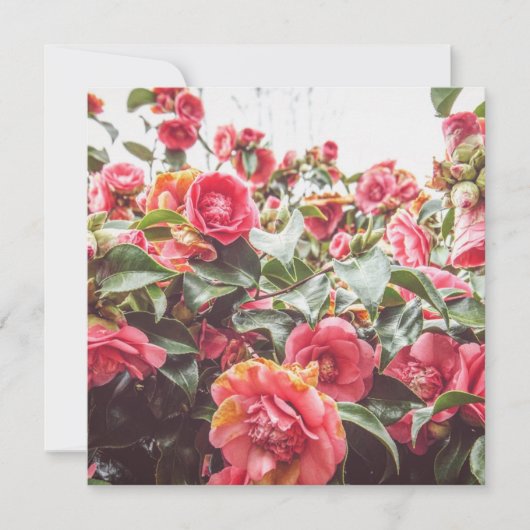 Sapphire Gold | Square Flat Card mit Umschlag (Vorderseite)