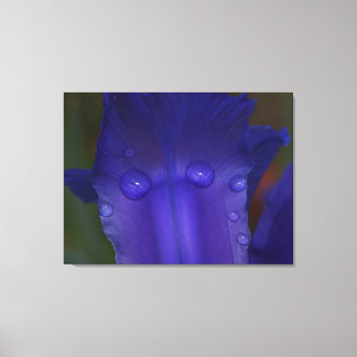 Sapphire Serenity  Leinwanddruck