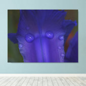 Sapphire Serenity  Leinwanddruck (Insitu (Holzboden))