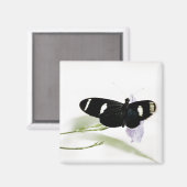 Sara Magnet (Vorderseite/Rückseite)