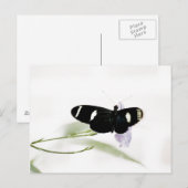 Sara Postcard Postkarte (Vorne/Hinten)