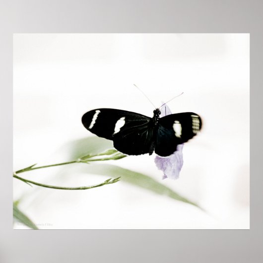 Sara Print Poster (Vorne)