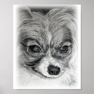 Sara-Zeichnen Poster