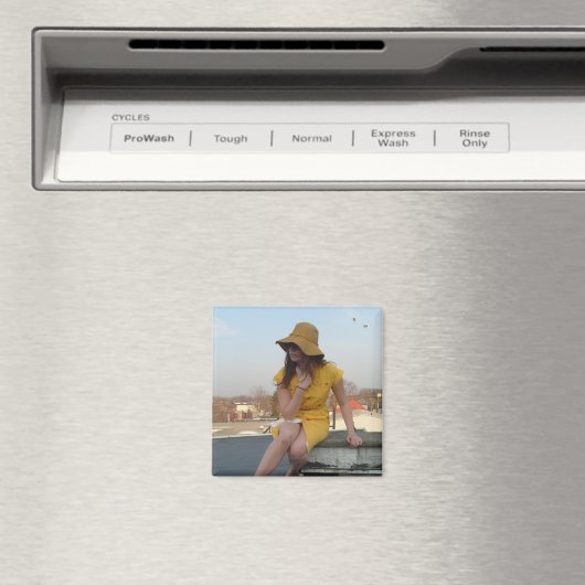 Sarah Magnet (In Situ (Geschirrspüler))