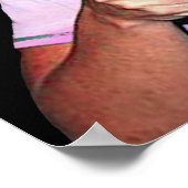 Sarah Palin Poster (Ecke)