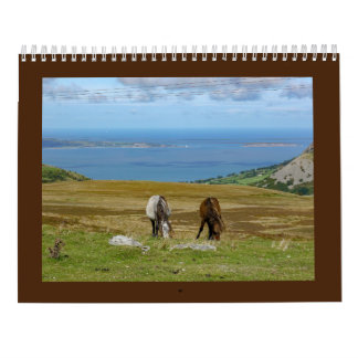 Sarah Woodburys Carneddau Ponies Kalender