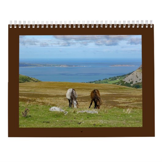 Sarah Woodburys Carneddau Ponies Kalender (Rückseite)