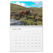 Sarah Woodburys Carneddau Ponies Kalender (Jan 2027)