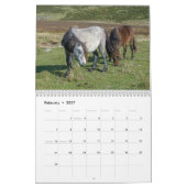 Sarah Woodburys Carneddau Ponies Kalender (Feb 2027)