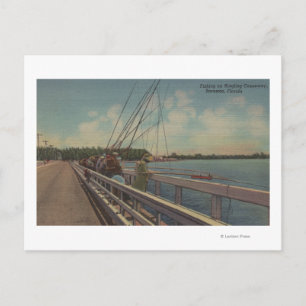 Sarasota, FL - Sicht auf die Menschen, die außerha Postkarte