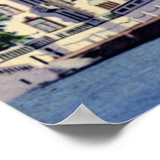 Sarasota Florida Ringling Museum Poster (Ecke)