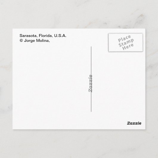 Sarasota, Florida, USA Postkarte (Rückseite)