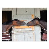 Saratoga-Liebe Fotodruck (Vorne)