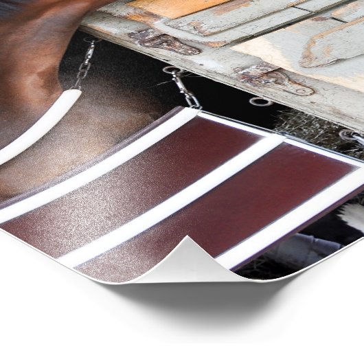 Saratoga-Liebe Fotodruck (Ecke)