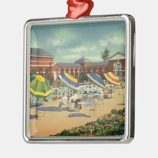 Saratoga Silbernes Ornament (Links)