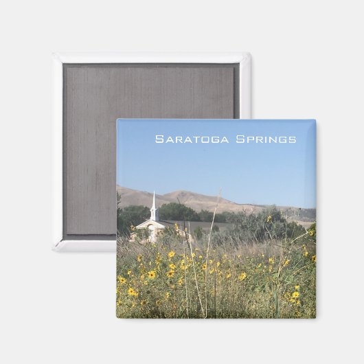 Saratoga Springs Magnet (Vorderseite/Rückseite)