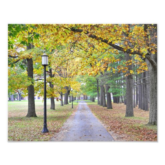 Saratoga Wellness-Center Staat Park Fotodruck (Vorne)