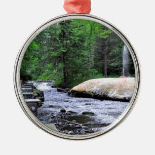 Saratoga Wellness-Center-Staat Park-Geysir Silbernes Ornament