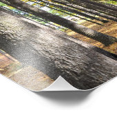 Saratoga Wellness-Center Staat Park Pines Fotodruck (Ecke)