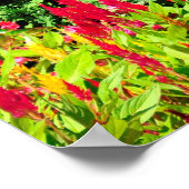 Saratoga's Iconic Traver's Stakes Lawn Jockeys Poster (Ecke)