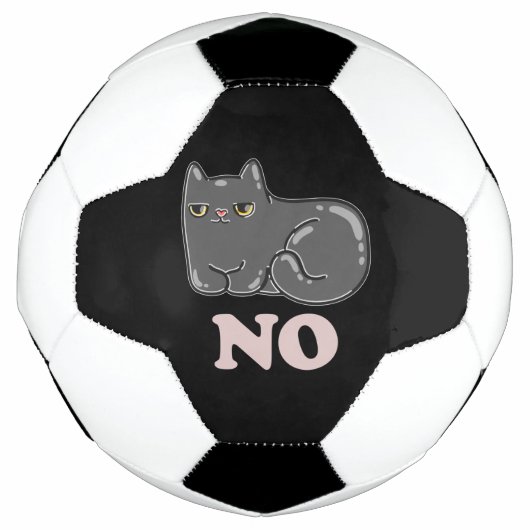 Sarcasm Cat Fußball (Vorderseite)
