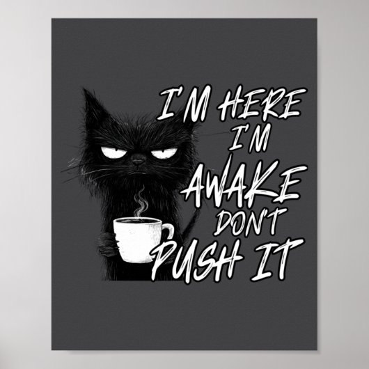 Sarcastic Cat Funny Cat I'm Here I'm Awake Don't P Poster (Vorne)