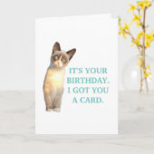 Sarcastic Cat, Geburtstagskarte Karte (Gelbe Blume)