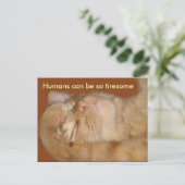 Sarcastic Cat - Menschen können so tiresom sein Postkarte (Stehend Vorderseite)