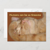 Sarcastic Cat - Menschen können so tiresom sein Postkarte (Vorne/Hinten)