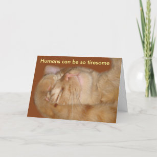 Sarcastic Cat Valentine's Day Card Feiertagskarte