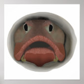 Sarcastic Fringehead - Fischköpfe Poster (Vorne)