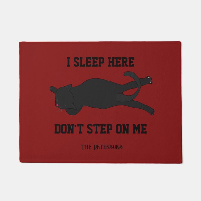 Sarcastic Funny Ich lebe hier Don't Step on Me Cat Fußmatte (Vorderseite)