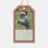 Sarcastic Santa Squirrel Tragend Weihnachtsmannmüt Geschenkanhänger (Vorderseite)