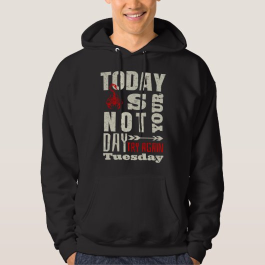 Sarcastic Scorpion Today is not your day Hoodie (Vorderseite)