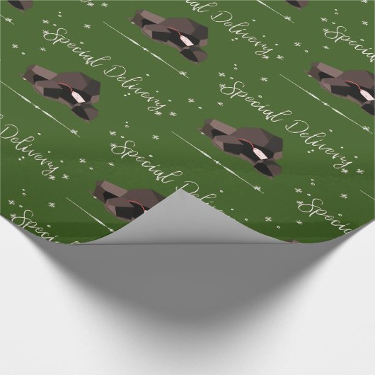 Sarcastic Special Delivery Script Coal Lumps Green Geschenkpapier (Ecke)