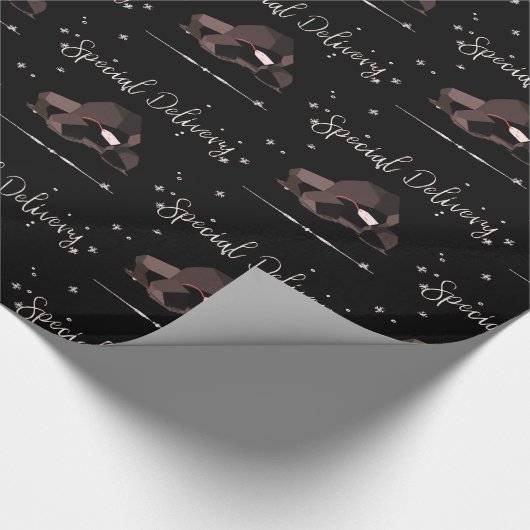 Sarcastic Special Delivery Script Lumps of Coal Geschenkpapier (Ecke)