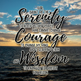 Sarcastic stupid people Serenity Prayer tshirt